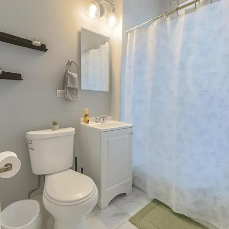 Apartment Charming 2br Near Cafes, Park & Cta Chicago