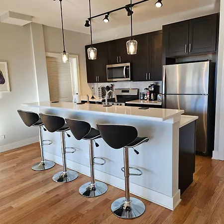 Updated 3 Bedroom Downtown Pilsen *