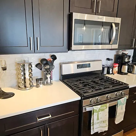 Updated 3 Bedroom Downtown Pilsen Apartment Chicago