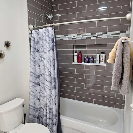 Updated 3 Bedroom Downtown Pilsen *