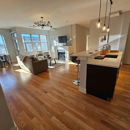 Apartment Updated 3 Bedroom Downtown Pilsen *