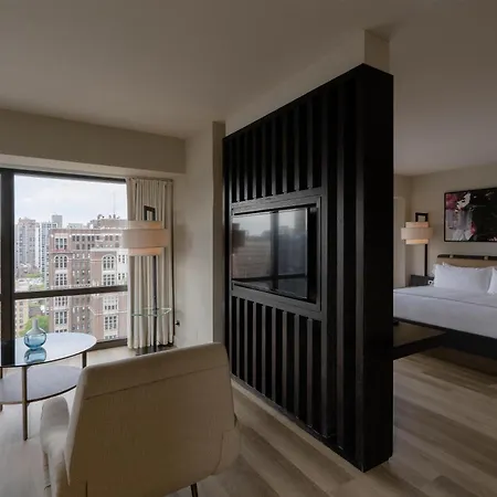 Hotel Thompson Chicago, By Hyatt 4*