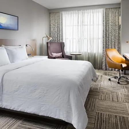 Hilton Garden Mccormick Place 3*