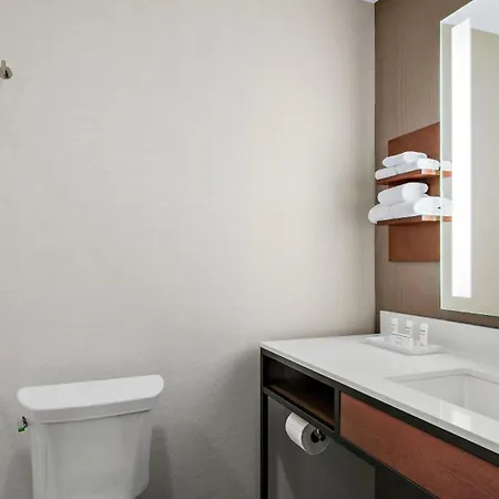Hilton Garden Mccormick Place 3* Chicago