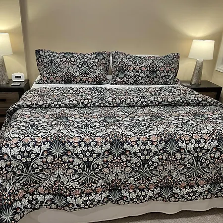 The Wrigleyville Deluxe -steps From Wrigley Sleeps 10