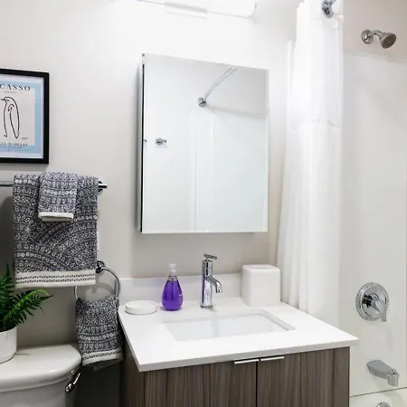 Downtown Mich Ave - 6 Penthouses, Sleep 25 Holiday home *