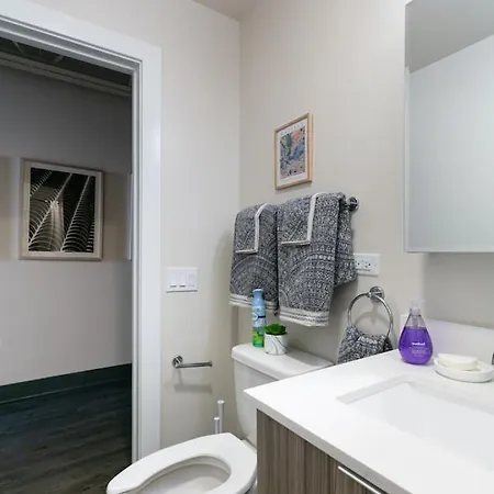 Downtown Mich Ave - 6 Penthouses, Sleep 25 Holiday home Chicago