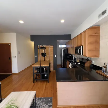 Apartment 2br Near Obama Presidential Ctr And Uofc Med Ctr Chicago