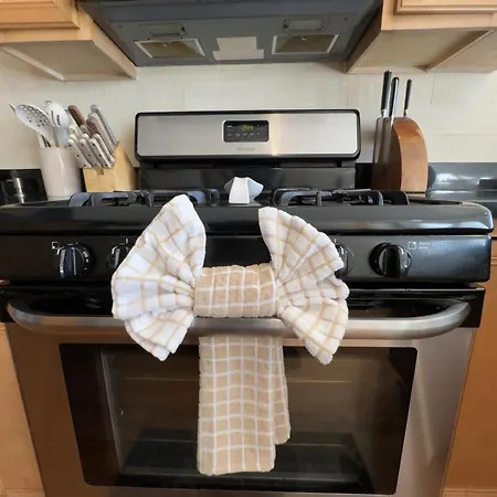 2br Near Obama Presidential Ctr And Uofc Med Ctr * Chicago