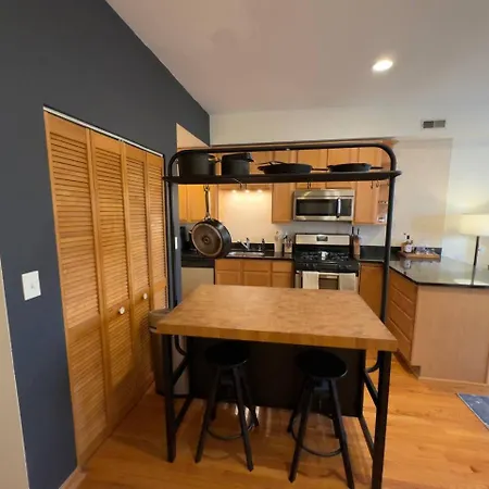 2br Near Obama Presidential Ctr And Uofc Med Ctr