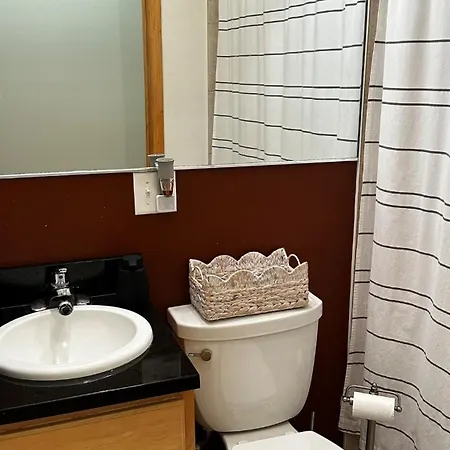 2br Near Obama Presidential Ctr And Uofc Med Ctr Apartment Chicago