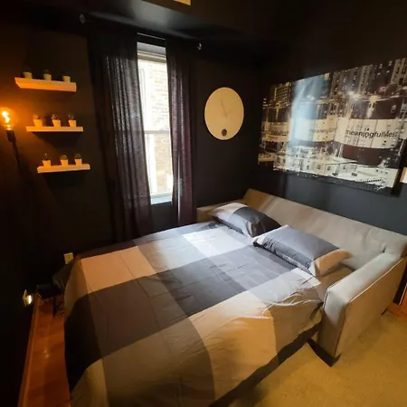 2br Near Obama Presidential Ctr And Uofc Med Ctr