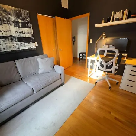 2br Near Obama Presidential Ctr And Uofc Med Ctr *
