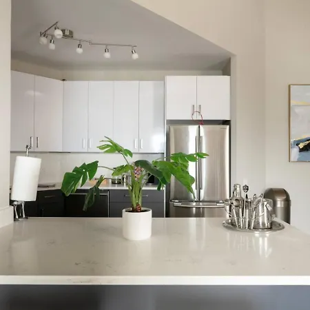 Lux Dtown Penthouses 9bd-9ba Sleep 25 Parking, Pool, Gym Chicago