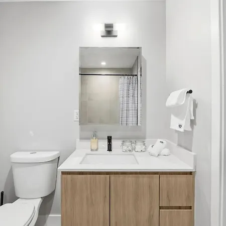 Comfy - Gym Free Parking & Modern Amenities