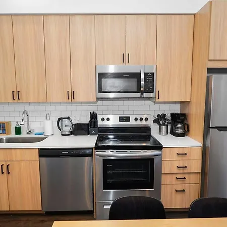 4br South Loop With Rooftop And Gym Near Mccormick Place Apartment Chicago