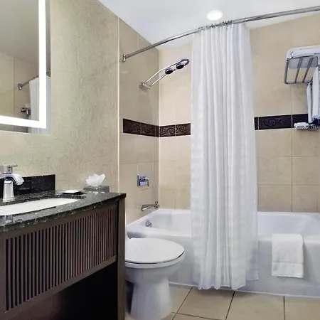Hotel The Palmer House Hilton 4*