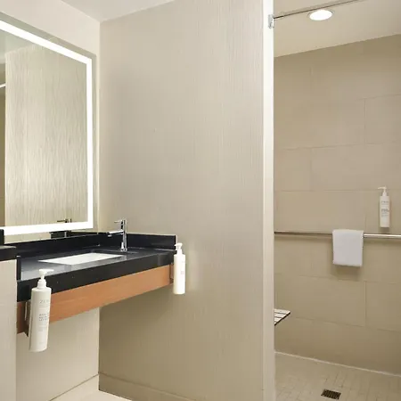Embassy By Hilton Downtown Magnificent Mile 4* Chicago