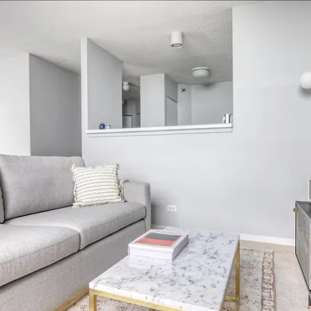 Apartment Streeterville W Gym Pool Nr Navy Pier Chi-406 *