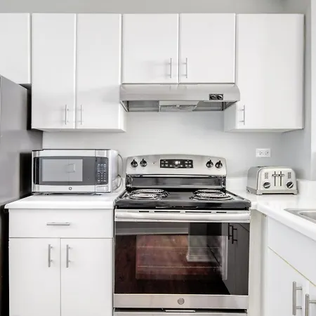 Streeterville W Gym Pool Nr Navy Pier Chi-406 Apartment *