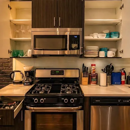 Mccormick Place: Modern 420-friendly Gem On Michigan Avenue Apartment