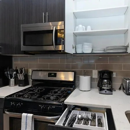 Modern South Loop 2br With View Of Skyline Patio And Gym Access Near Mccormick Place Convention Center & Museum Campus Apartment