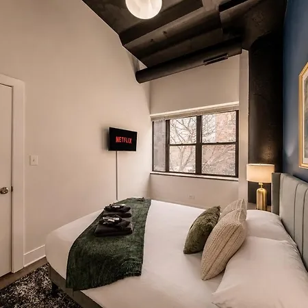 Cozy 3br Living In South Loop Near Mccormick Place, Soldier Field & Lakefront * Chicago