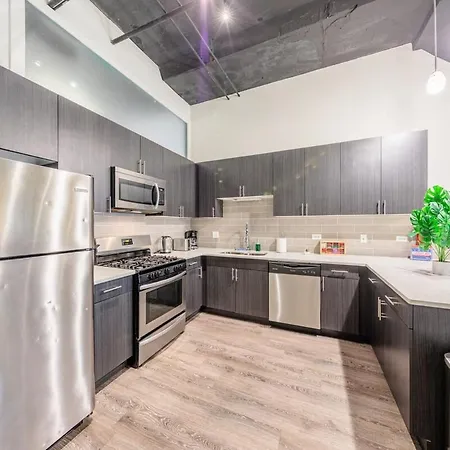 Cozy 3br Living In South Loop Near Mccormick Place, Soldier Field & Lakefront Apartment