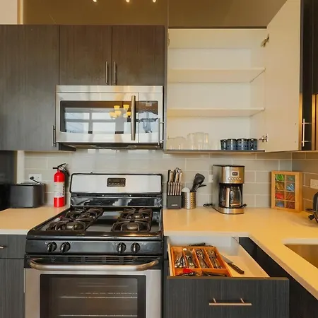Chic Cozy 2br Near Mccormick, Place Museum Campus And Soldier Field *