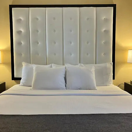 Hotel Warwick Allerton Chicago