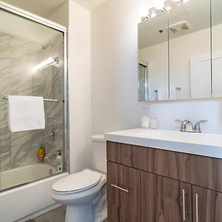 Chic Cozy 3br Michigan Avenue Spacious Close To Iconic Landmarks & Attractions Chicago