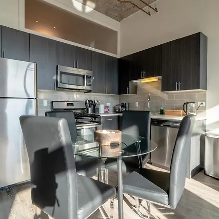 Mccormick Place Secret Oasis With Optional Parking For Up To 8 Guests Apartment *