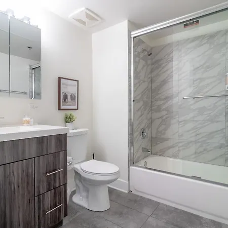 Mccormick Place Secret Oasis With Optional Parking For Up To 8 Guests Apartment Chicago