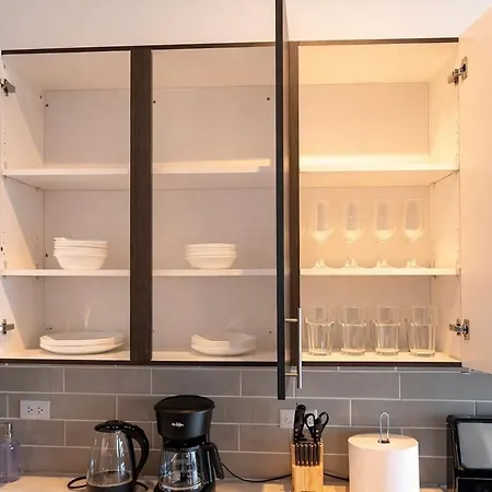 Mccormick Place Downtown: Luxurious 3br/2ba For 10 * Chicago