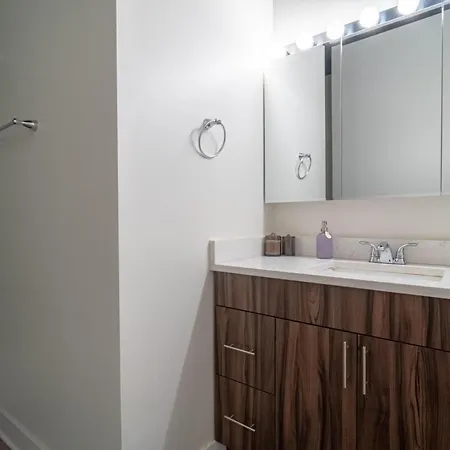 Mccormick Place Downtown: Luxurious 3br/2ba For 10 Apartment *