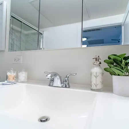 Apartment Mccormick Place Huge 2br Cozy Loft With Optional Parking Sleeps 8 Near Soldier Field And Grant Park *