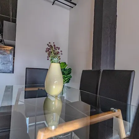 Mccormick Place Huge 2br Cozy Loft With Optional Parking Sleeps 8 Near Soldier Field And Grant Park