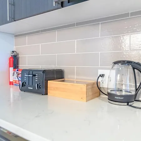 Mccormick Place Huge 2br Cozy Loft With Optional Parking Sleeps 8 Near Soldier Field And Grant Park Apartment Chicago