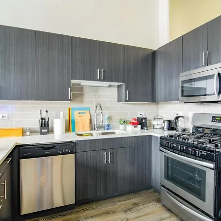 Apartment Mccormick Place 3br Luxury Penthouse Duplex With Personal Rooftop And Optional Parking For 8 Guests In South Loop