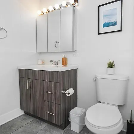 Mccormick Place: Modern Downtown Loft With Optional Parking Apartment *