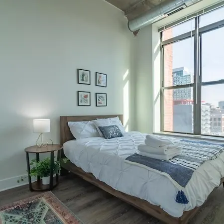Convenient 2br In Prime Location With Gym Access & Optional Parking Near Mccormick Place And Soldier Field Apartment
