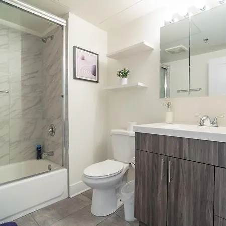Convenient 2br In Prime Location With Gym Access & Optional Parking Near Mccormick Place And Soldier Field Apartment Chicago