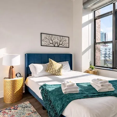 2br Perfect For Convention And Business Trips Near Mccormick Place, Arena, Soldier Field And Grant Park Apartment