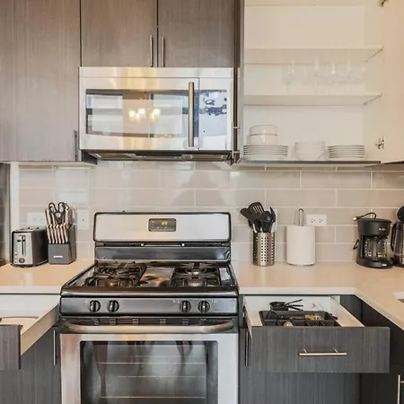 2br Retreat With Optional Parking And Gym Access Near Mccormick Place And Soldier Field Chicago