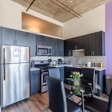 Modern And Bright 2br On Michigan Ave With Optional Parking And Gym Access Near Soldier Field & Grant Park Apartment Chicago