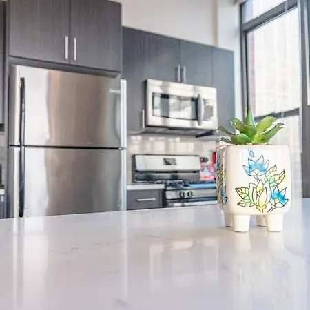 South Loop 2br Corner Unit With Natural Light, Optional Parking And Guest Access Near Downtown And Mccormick Place Apartment *