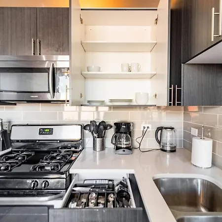 Charming 2br With Skyline View, Optional Parking & Gym Access Near Mccormick Place, Lakefront And Soldier Field Apartment *