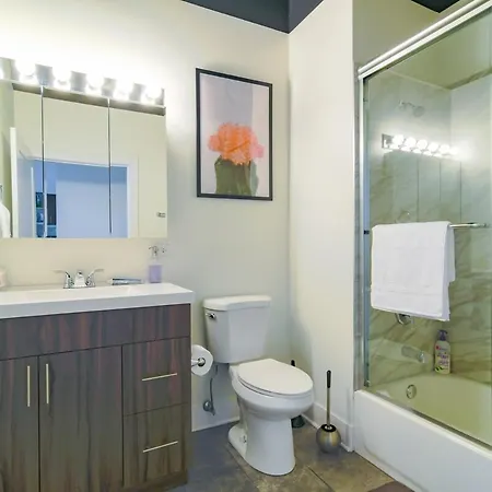 Apartment Beautiful 2br With Smart Tv, Gym Access & Parking Close To Mccormick Place, Museums & Michigan Chicago