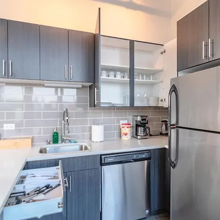 Apartment South Loop 2br Corner Unit With Natural Light, Optional Parking And Guest Access Near Downtown And Mccormick Place