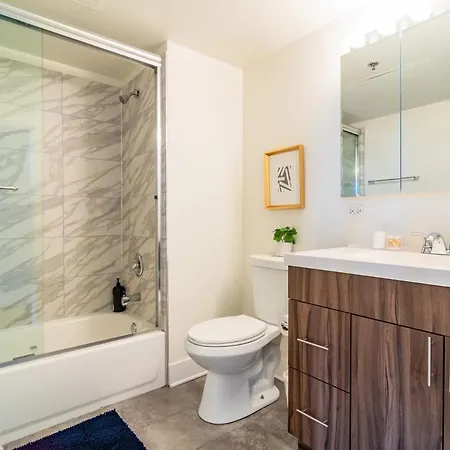 Apartment Charming 2br With Skyline View, Optional Parking & Gym Access Near Mccormick Place, Lakefront And Soldier Field